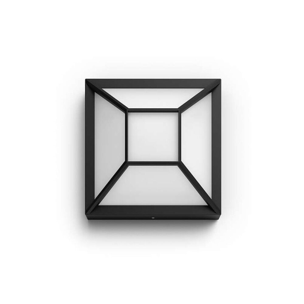 Välisvalgusti Drosera