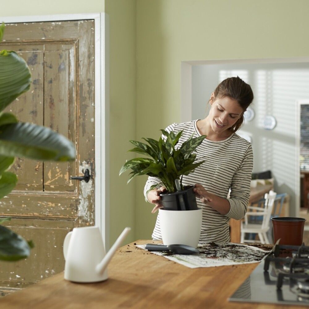 Altkastmispott Insert Ø 44 cm