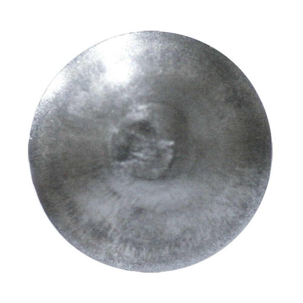 Puidupoldid mutriga Profi Depot ZN, DIN603, 6 x 60 mm, 100 tk