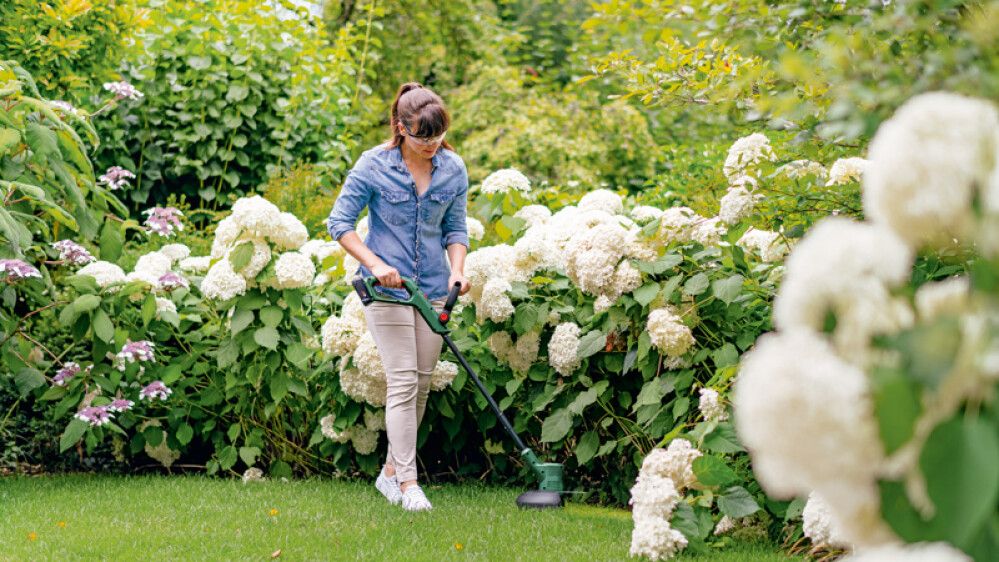 Akutrimmer Bosch EasyGrassCut 18-260