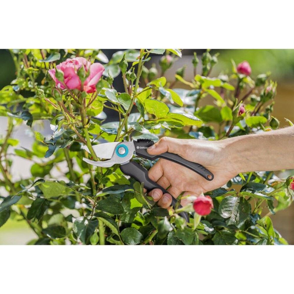 Oksakäärid Gardena EcoLine