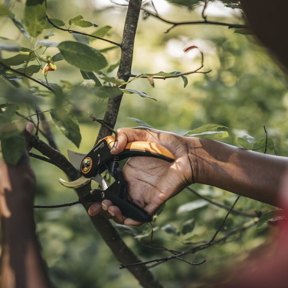 Oksakäärid Fiskars Plus Pruner Bypass