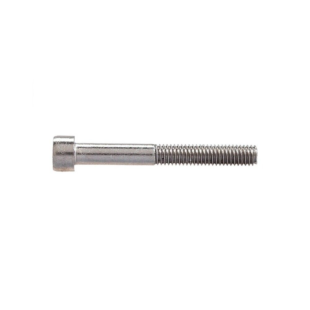 Sisekuuskantpoldid Profi Depot DIN912 A2, 5 x 16 mm, 100 tk
