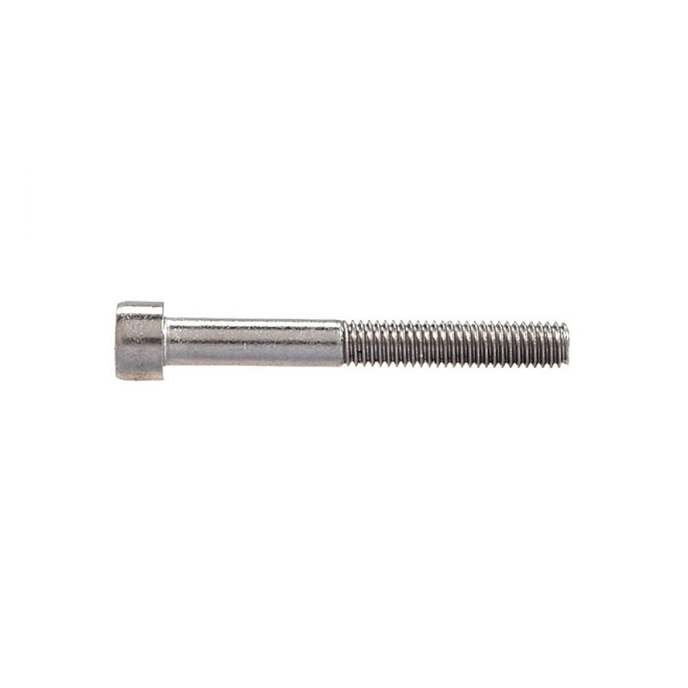 Sisekuuskantpoldid Profi Depot DIN912 A2, 5 x 20 mm, 100 tk