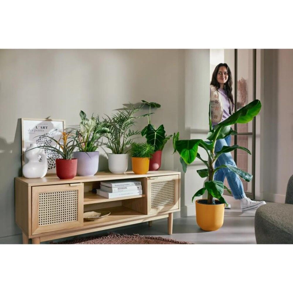 Ümbrispott Elho Jazz Ø 14 cm, punane