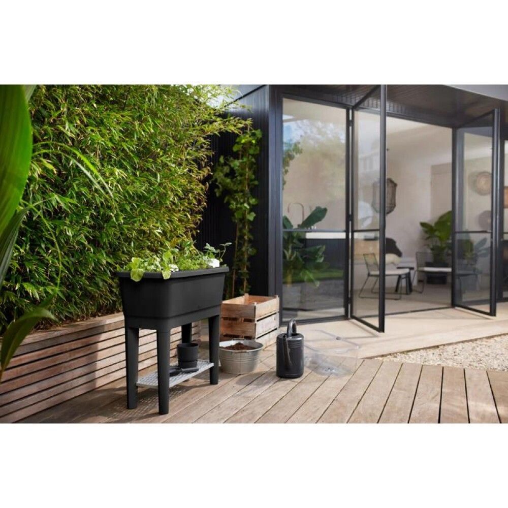 Kasvatuskast Elho Noa kaanega