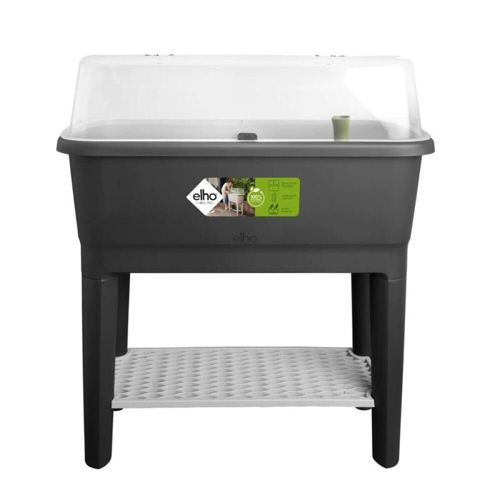 Kasvatuskast Elho Noa kaanega