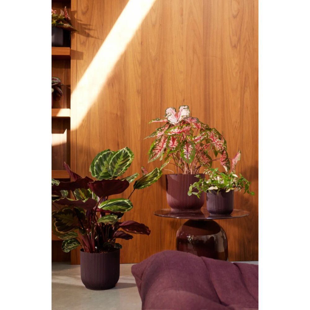 Ümbrispott Elho Winery 18 cm, lilla