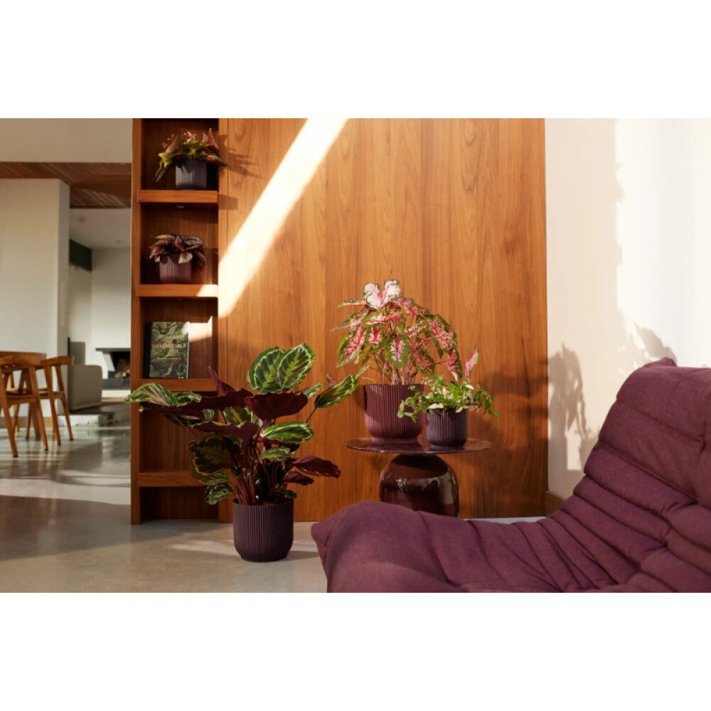 Ümbrispott Elho Winery 18 cm, lilla