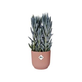 Ümbrispott Elho Vibes Fold Ø 35 cm,roosa