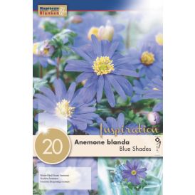 Õrn ülane Blanda Blue Shades 20 tk