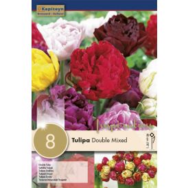 Tulp Double Mix 8 tk