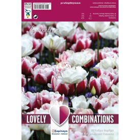 Tulpide segu Double Red & White 15 tk
