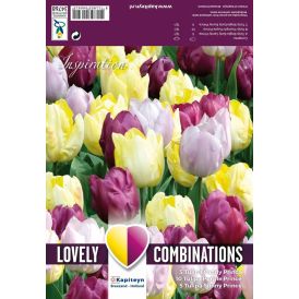 Tulpide segu Yellow, Purple and Lilac 15 tk