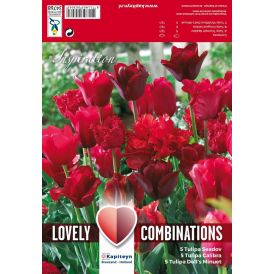 Tulp Red Shades 15 tk/pk