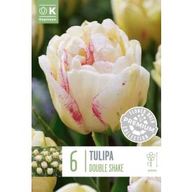 Tulp Premium Double Shake 6 tk