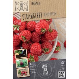 Maasika taimed Kapiteyn Raspberry 2 tk