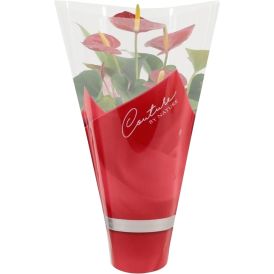 Flamingolill valik Ø 12 cm