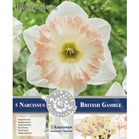 Nartsiss British Gamble 5 tk