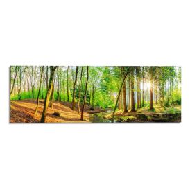 Sisustuspilt Reinders Deco Panel Spring Woods 156 x 52 cm