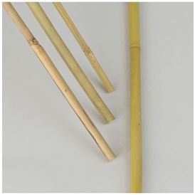 Tugikepp bambus 1 m