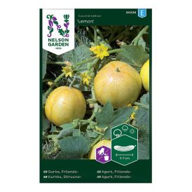 Pisikurk Lemon