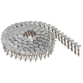 Papinael Senco 15° 38 x 3,1 mm