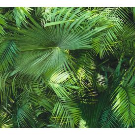 Fliistapeet Bude Jungle
