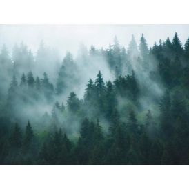 Fliistapeet A.S. Creation Digiprint Misty Forest 39898-1