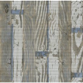 Vannitoavaip D-C-Fix Beachwood, jooksva meetriga