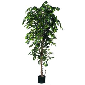 Kunstlill Bensoe Viigipuu 210 cm
