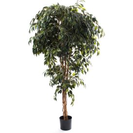 Kunstlill Bensoe viigipuu 180 cm