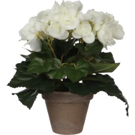 kunstlill Begoonia Ø 20 cm, valge
