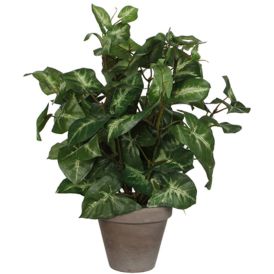 Kunstlill sõrgköis potis 35 cm