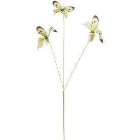 Aiakaunistus liblikas 75 cm, heleroheline