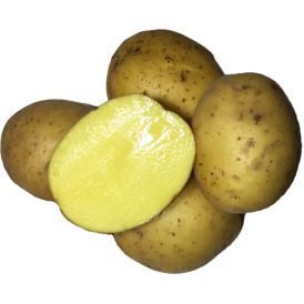 Seemnekartul Paroli A 2,5 kg