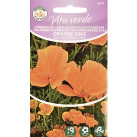 MOON CALIFORNIAN POPPY ORANGE KING