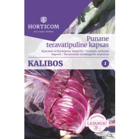 Punane teravatipuline kapsas Kalibos 50 seemet 1