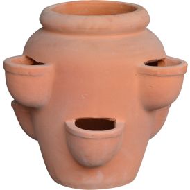 Pott maasikataimedele Terracotta 36 x 40 cm