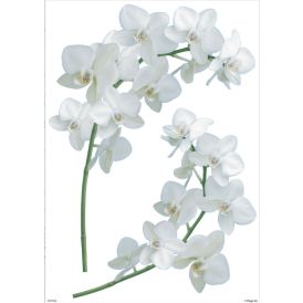Sisustuskleebis Plage Orhidee 29,7 x 21 cm, 2 tk