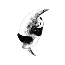 Sisustuskleebis Sleeping Panda 48 x 70 cm