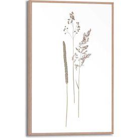 Sisustuspilt Reinders Dried Flowers 20 x 30 cm