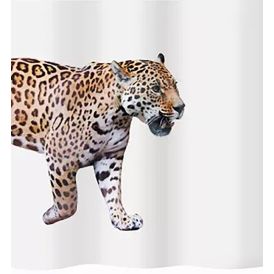 Dušikardin Diaqua Jaguar