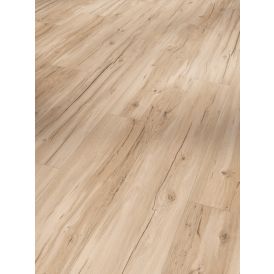 Näidis vinüülparketile Parador Basic 5.3 tamm Memory Sanded