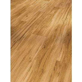 Näidis vinüülparketile Parador Basic 5.3 tamm Memory Natural
