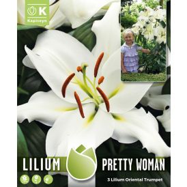 Hübriidliilia Pretty Woman 3 tk
