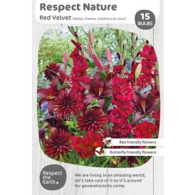 Lillesibulate segu Respect Nature Red Velvet 15 tk