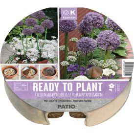 Komplekt Kapiteyn laugud 19 tk