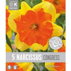 Nartsiss Kapiteyn Collar Congress 5 tk