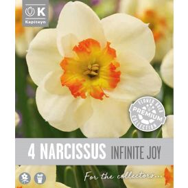 Nartsiss Kapteyn Infinite Joy 4 tk